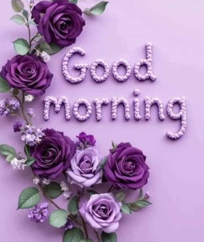 2cc88840b4e50aa3830caa597c3ff51cjpg