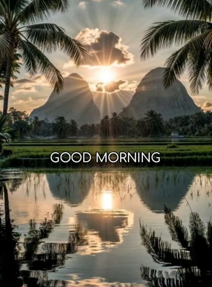 This may contain the words good morning are shown in front of palm trees and mountain range at sunset