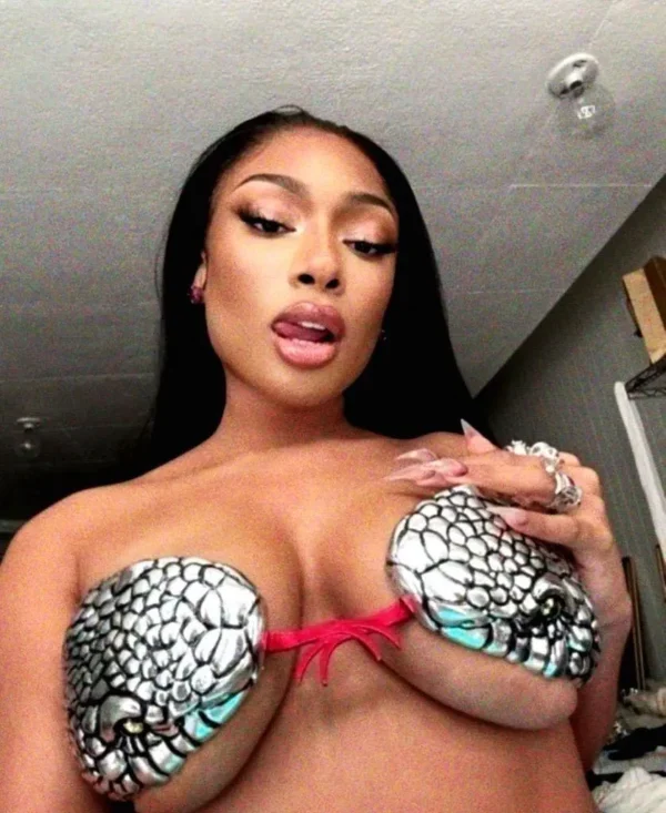 0214 Meg Thee Stallion Hot Shots 0