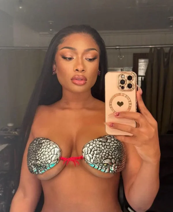 0214 Meg Thee Stallion Hot Shots 1