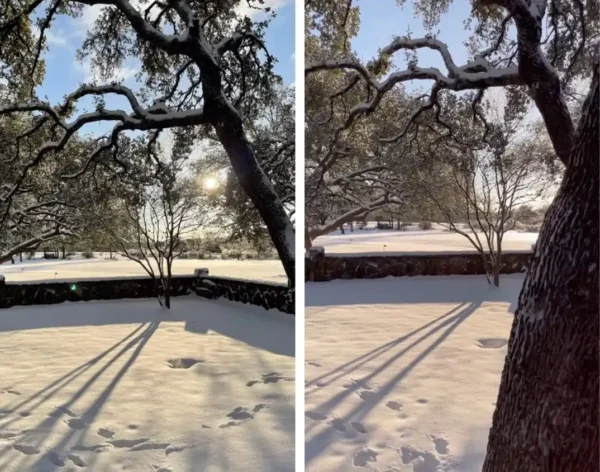 James Van Der Beek Texas Ranch 4