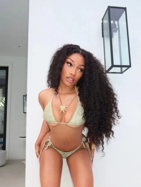 Megan Thee Stallion Hot Shots 0