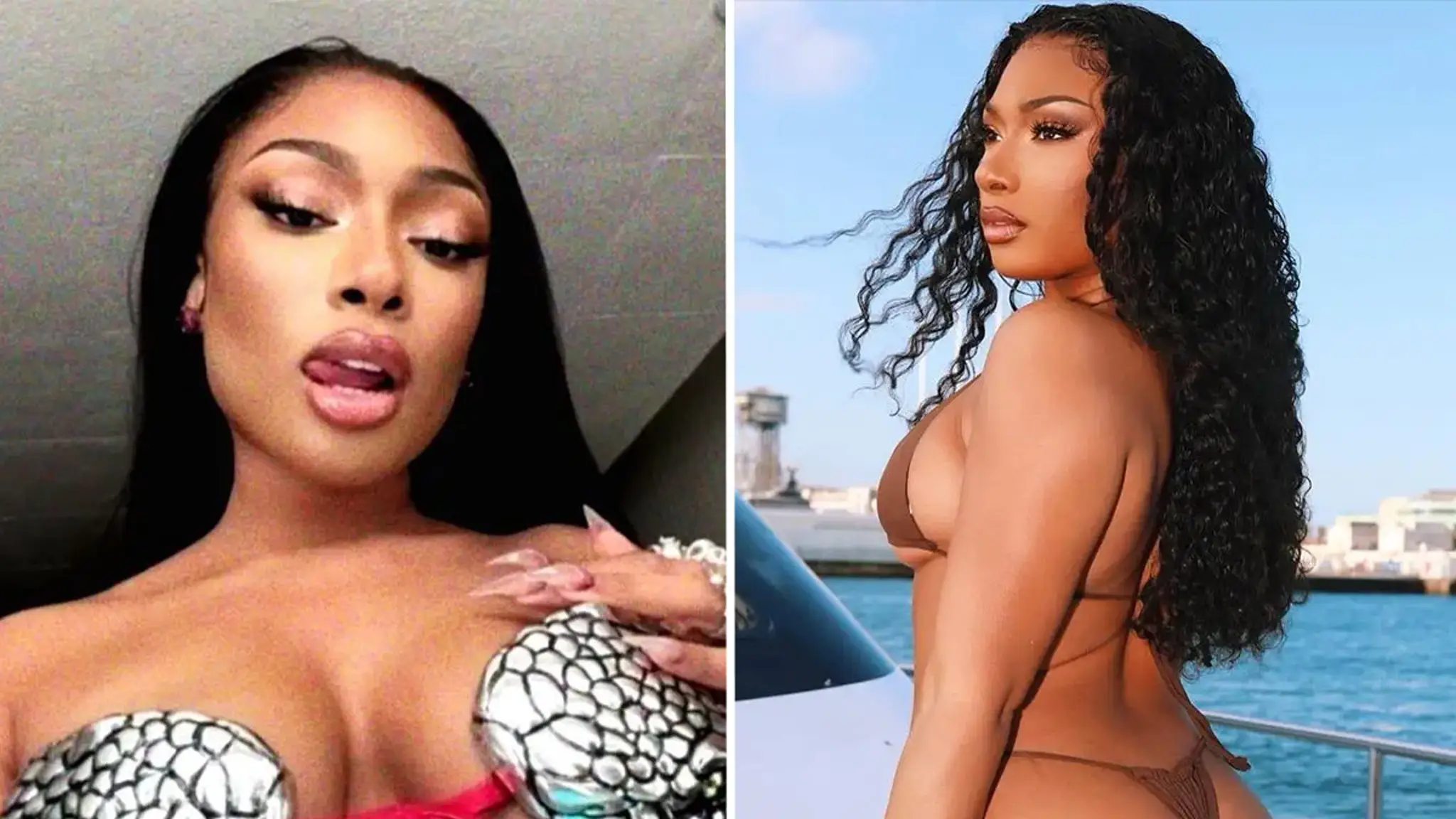 Megan Thee Stallion's Hot Shots