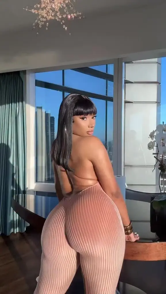 Megan Thee Stallion's Hot Shots 0